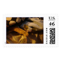 Paws. postage