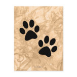 Paws postcards