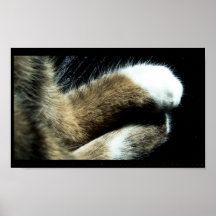 paws print