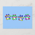 Paws Rainbow Color Pawprints Post Card