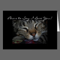Paws to Say I Love You! Card cards