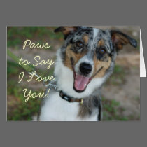 Paws to Say I Love You! dog card cards