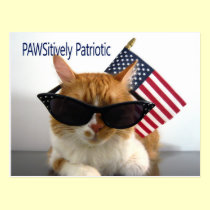 PAWSitively Patriotic Cat Postcard postcards