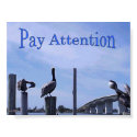 Pay Attention posters