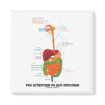 Pay Attention To Gut Intuition (Digestive System) Refrigerator Magnets