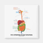 Pay Attention To Gut Intuition (Digestive System) Refrigerator Magnets
