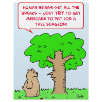 pay tree surgeon medicare letterhead