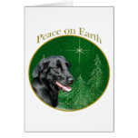 Paz Plano-Revestida del perro perdiguero Tarjetón