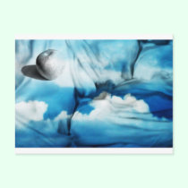 » paz (postcard) «
