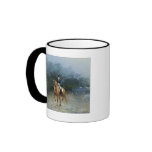 PB Piaffe Dressage Horse Art mugs
