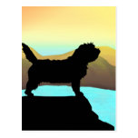 PBGV Dog By The Sea Postcard