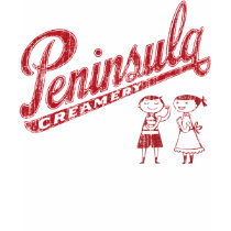 PC Strong Kid (vintage) t-shirts