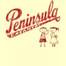 PC Strong Kid (vintage) t-shirts