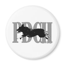 PDCHACD MAGNET