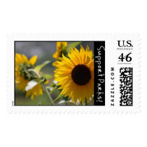Pea Patch postage by kcparks Pea Patch postage