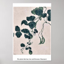 Pea plant showing vine and blossoms  Kanemori Print