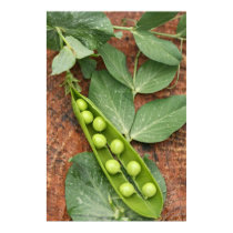 Pea Pod Poster posters by MistyRosePhotography Pea Pod Poster posters