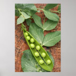 Pea Pod Poster