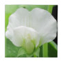 Pea Promise ceramic tiles as trivet or gift box
