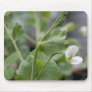 Pea Vine 1 Mousepad