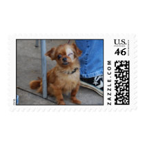 Peabody Postage Stamp