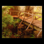 Peace 8x10 Print photography