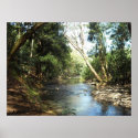 Peace and Tranquility posters