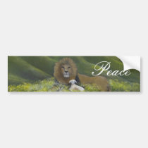 Peace bumper stickers
