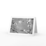 Peace cards