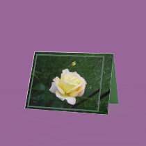 PEACE cards by dequilla PEACE cards