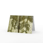 Peace Card cards