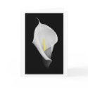 Peace Card card