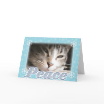 Peace cards