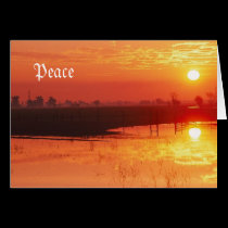 Peace cards