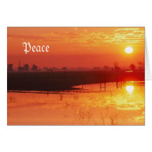 Peace Cards