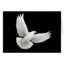 Peace Dove Greeting Card