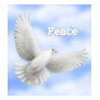 Peace Dove Ladies Petite Shirt