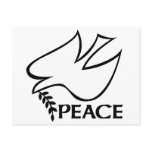 Peace Dove Post Card