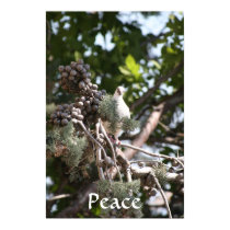Peace Dove Poster posters by pattirm1 Peace Dove Poster posters