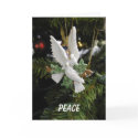 Peace Doves Holiday Card