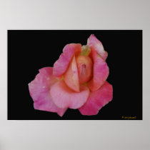 Peace Floral Poster