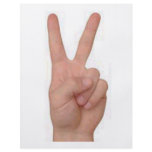 Peace! flyers