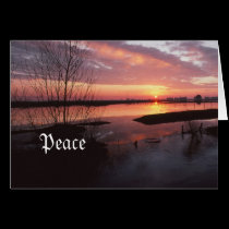 Peace cards