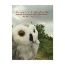 Peace I Give To You postcards by Heartworks Peace I Give To You postcards