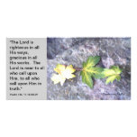 Peace in His Presence Photo Greeting Card