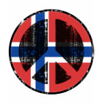 Peace In Norway Shirt