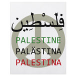 Peace in Palestine Full Color Flyer