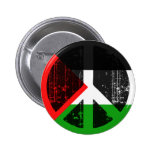 Peace In Palestine Pin