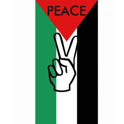PEACE IN PALESTINE TSHIRT by funny_tshirt