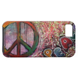 Peace casemate cases